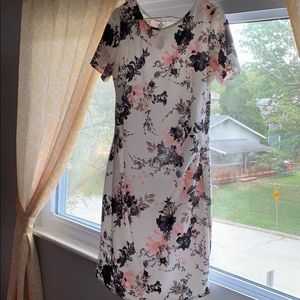 Pink Blush Maternity Dress 2XL NWT